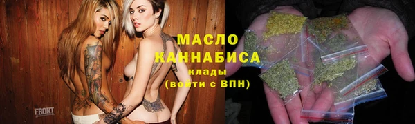 индика Абинск