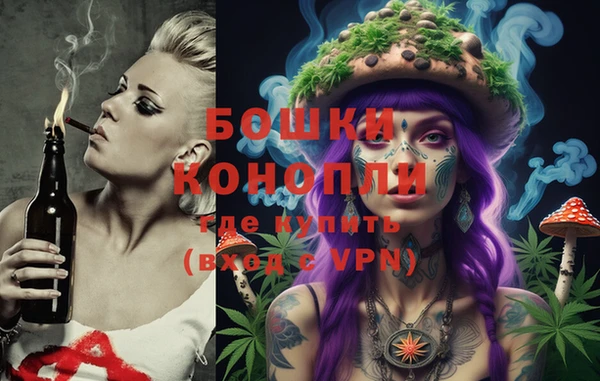 индика Абинск