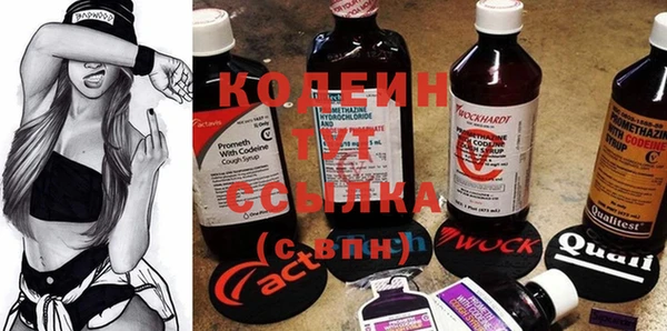 индика Абинск