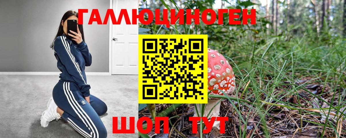 Галлюциногенные грибы Cubensis Луга